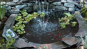 Kolam ikan air tawar terbahagi kepada empat jenis. Skema Dan Bentuk Kolam Koi Berdasarkan Lokasi Minimalis