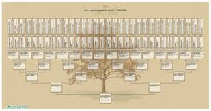 Votre arbre généalogique gratuit, maintenant ! Impression D Un Arbre Genealogique Grand Format