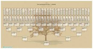 Chaque arbre contient 4 générations, il est imagé et facile à lire par vos proches et peut être complété ensuite.vous pouvez. Impression D Un Arbre Genealogique Grand Format