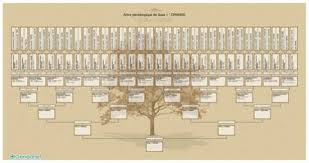 Cliquez sur le bouton imprimer. Impression D Un Arbre Genealogique Grand Format