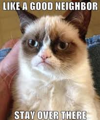The 50 Funniest Grumpy Cat Memes In 2020 Funny Grumpy Cat Memes Grumpy Cat Humor Funny Kid Memes