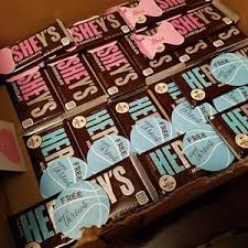 20 Gender Reveal Party Stickers Free Throws Or Pink Bows Etsy Gender Reveal Gifts Baby Gender Reveal Party Gender Reveal Party Games