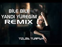 Sevgim Yilmaz Bile Bile Yandi Yuregim Remix Berker Suna Youtube Karaoke Sarkilar Youtube
