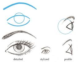 Last updated on fri, 28 may 2021 | portrait drawing. Human Anatomy Fundamentals Basics Of The Face