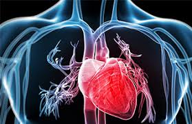 Read on for some hilarious trivia questions that will make your brain and your funny bone work overtime. Heart Health And Lifestyle Quizzes Heart Matters Magazine Bhf
