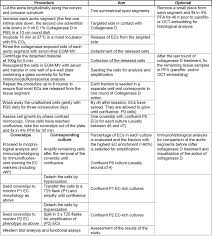 Procedure Flow Chart For The Simultaneous Isolation Of Ecs