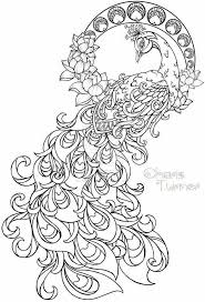 Peacock Peacock Coloring Pages Flower Coloring Pages Free Coloring Pages