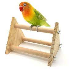 Pin On Cockatiels