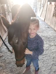 About 1 — Black Dog Acres, LLC