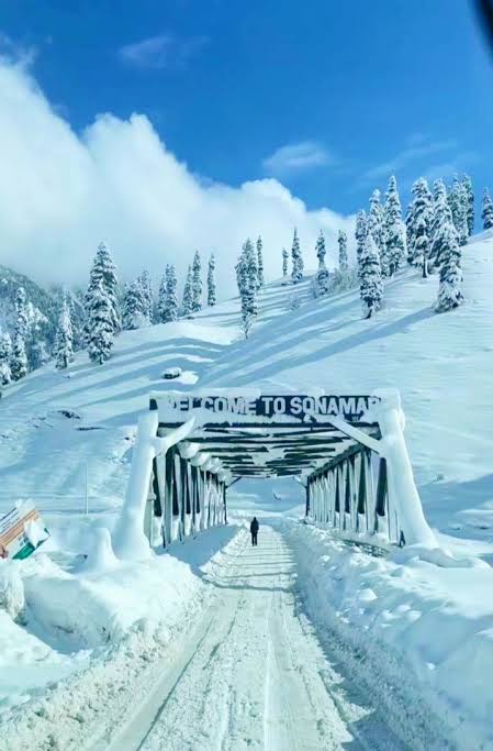 Sonamarg and Thajiwas Glacier in Kashmir