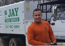 Check spelling or type a new query. Jay Tree Service Residential Tree Maintenance Services In Bucks County Pa Jay Tree Service