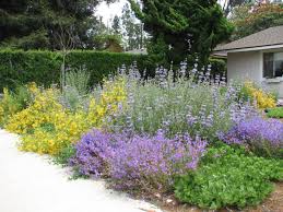 Free California Friendly Landscape Training In Scripps Ranch San Diego County Water California Native Landscape California Landscaping Xeriscape Landscaping