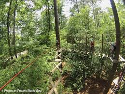Browse our accommodations, amenities, and events to start planning your vacation in the majestic georgia countryside. Treetop Family Adventure Callaway Gardens In Pine Mountain Georgia Peanuts Or Pretzels