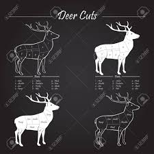 Deer Venison Meat Cut Diagram Scheme Elements On Chalkboard