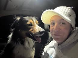 Lost dog taken to Kent County shelter