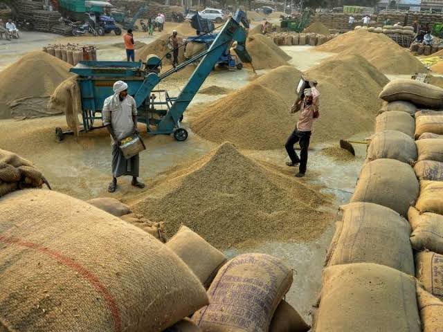 Chhattisgarh Paddy Procurement Korba Farmers have get Biometric Sale Paddy  Crop Paddy sale registration date ann | Chhattisgarh: धान खरीद में  बिचौलियों की छुट्टी! किसानों को करना होगा रजिस्ट्रेशन, जानें तारीख