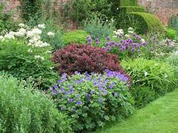 Pin On Border Planting Ideas