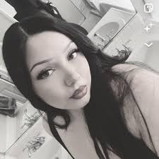 Lost dog near Division St in Springfield, MO