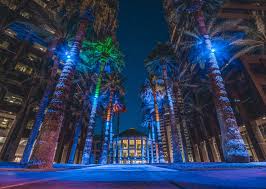 Arizona images free royalty free stock images: 887894 Midtown Phoenix Arizona Usa Houses Street Palms Night Street Lights Mocah Hd Wallpapers