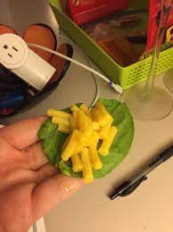 Today i finally have this stoners video for you guys! Healthy Stoner Food Shittyfoodporn