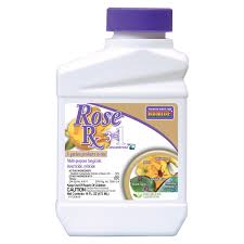 Bonide Rose Rx 3 In 1 Spray