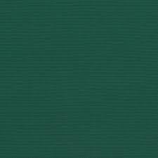 A dark yellowish or moderate olive green. Forest Green Clarity 83037 0000 Sunbrella Stoff