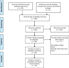 Prisma Flowchart Process Of Literature Search Flowchart