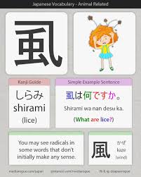 Japanese Word For Lice Louse Japanese Words Japanese Language Learning Japanese Phrases