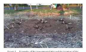 These napier grass reaper are efficient and equipped with the latest technologies. Figure 2 From Life Cycle Assessment Of Napier Pakchong 1 Grass As A Feedstock For Anaerobic Digestion To Produce Electricity A Case Study In Thailand Semantic Scholar