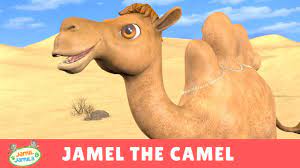 Sing this desert song it's hot in the desert with your students to learn about earth habitats or the weather. Jamel The Camel Jamil And Jamila Songs For Kids Youtube