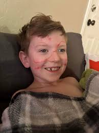 Dollar Tree Christmas Finds