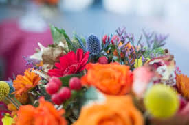 Последние твиты от flowers by coley (@flowersbycoley). Flowers By Coley Is Now In Las Vegas Flowers By Coley Las Vegas Flowers By Coley Las Vegas