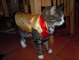 Were you born in the year of the dog, the monkey or maybe the rooster? Chinese New Year Gifts Baskets 2019 Baskets Galore