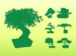 Free vector silhouettes for commercial use in.svg and.png format with a transparent background. Bonsai Tree Silhouettes Vector Art Graphics Freevector Com