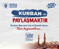 9'u çocuk 10 ölü tarih: Yks Sonuclari Aciklandi Yks Ayt Tyt Baraj Puani Ve Osym Sonuc Sayfasi Detaylari Yks Ye Kac Kisi Girdi Gundem Detay Haberler