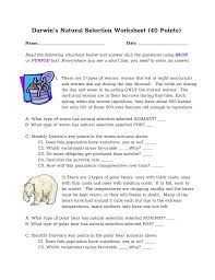 Darwins natural selection worksheet name read the following situations below and identify the 5 points of darwin s natural selection. What Are The 2 Types Of Variation