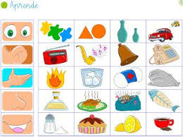 Actividades interactivas está pensado para estudiantes de español como lengua extranjera de nivel inicial, aunque muchas de las propuestas pueden utilizarse como actividades de refuerzo en otros niveles. Zmysly Met Afbeeldingen Thema Zintuigelijke Activiteiten Menselijk Lichaam