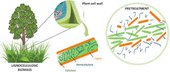 Pretreatment standards are pollutant discharge limits which apply to industrial users (iu iu a source of indirect discharge. Biomass Pretreatment Biorefineries And Potential Products For A Bioeconomy Development Sciencedirect