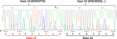 Could not locate a kubeconfig usage: Alternative Splicing Events Expand Molecular Diversity Of Camel Csn1s2 Increasing Its Ability To Generate Potentially Bioactive Peptides Scientific Reports