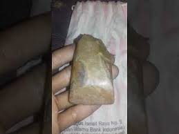 Mustika gigi petir ini dulunya didapatkan abah dari salah satu pohon yang tersambar oleh petir ketika abah sedang berziarah di makam pak soerharto karanganyar. Batu Gigi Petir Thunder Stone Youtube