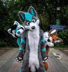 Each and every furry knows the rules!! Why Do People Hate Furries Quora