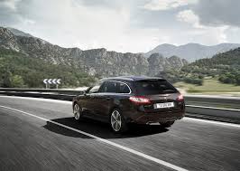 Image result for Brun Guaranja 2014 Peugeot