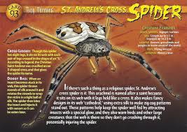 Pin By Emma On Weird And Wild Creatures Tiny Terrors Wild Creatures Creature Feature Creatures