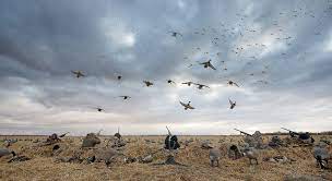 You can also upload and share your favorite duck hunting backgrounds. Duck Hunting Backgrounds Wallpaper Cave