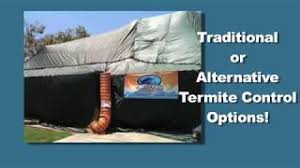 Termite, bed bug, mosquito, & more! Serving All Of Orange County And Los Angeles County For All Pest Control Needs Orange County La County Pest Control Surf City Termite Pest Control