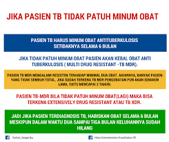 Akibatnya Jika Pasien Tb Tak Patuh Minum Obat Infografis Minuman Pendidikan Kesehatan