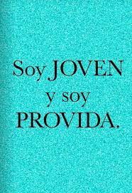 According to mywot, siteadvisor and google safe browsing analytics, provida.tv is a dangerous domain. Provida Pro Vida Provida Te Amo Mi Vida