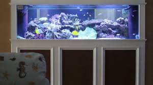 Jkfish Tank Tour Custom 200 Gallon Reef With 300 Gallon Refugium Youtube
