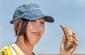 Video: Whale fossil pieces dating back at least 10 million years found at  Irvine landfill