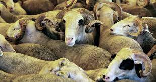 2021 yılının dini günleri belli oldu. 9z5feasoghsgcm